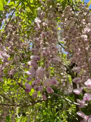 春日大社(奈良県)