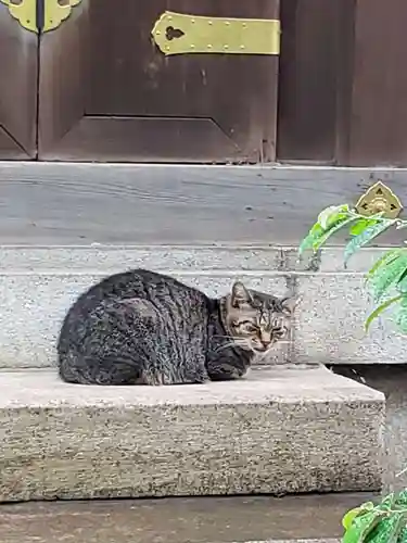 白金氷川神社(東京都)
