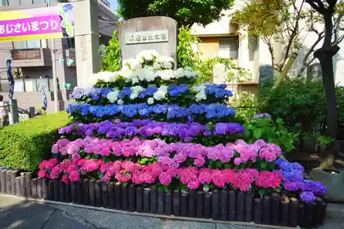 白山神社の庭園