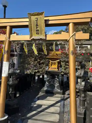 亀ケ池八幡宮の{uncategorized: "未分類", other: "その他", undefined: "問題あり", building: "その他建物", grave: "お墓", sacred_gate: "鳥居", guardian: "狛犬", statue: "像", buddha: "仏像", history: "歴史", nature: "自然", garden: "庭園", animal: "動物", pagoda: "塔", temizu: "手水舎", mountain_gate: "山門・神門", sanctuary: "本殿・本堂", subordinate: "末社・摂社", art: "芸術", scenery: "景色", jizo: "地蔵", ema: "絵馬", goshuin: "御朱印", omikuji: "おみくじ", items: "授与品その他", amulet: "お守り", goshuincho: "御朱印帳", eats: "食事", festival: "お祭り", votive_dance: "神楽", shichigosan: "七五三参", wedding: "結婚式", experience: "体験その他", initially: "初詣", around: "周辺", anti_infection: "感染症対策"}