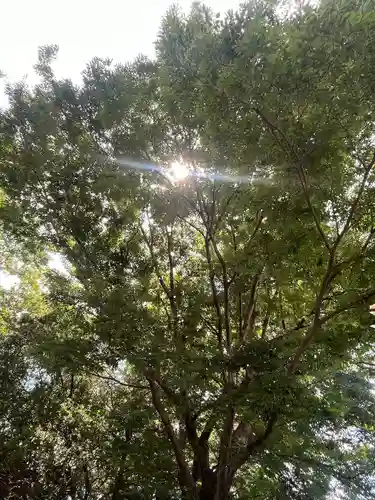 加波山神社真壁拝殿(茨城県)