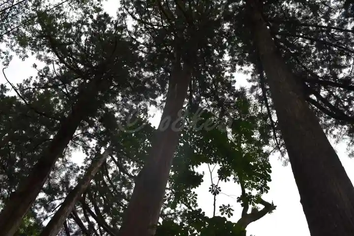 榛名神社の自然