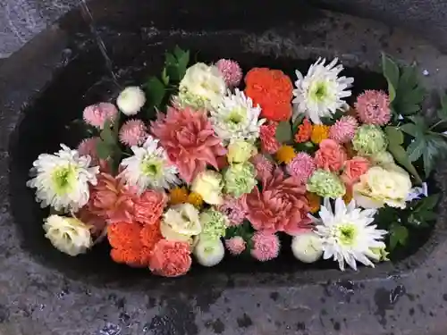 手稲神社の手水舎