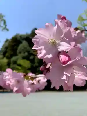 滑川神社 - 仕事と子どもの守り神(福島県)