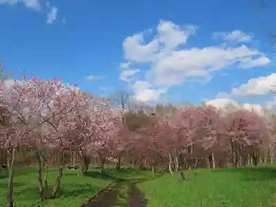 江部乙神社(北海道)