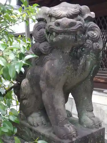 下御霊神社の狛犬