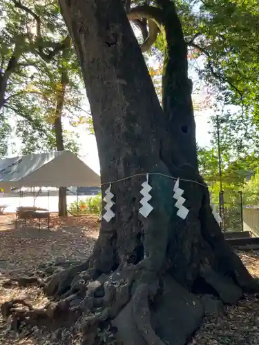 豊鹿嶋神社(東京都)