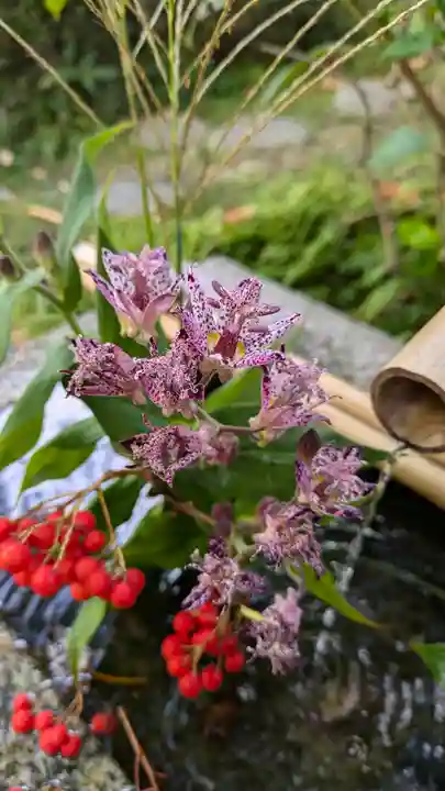 宝蔵寺(京都府)