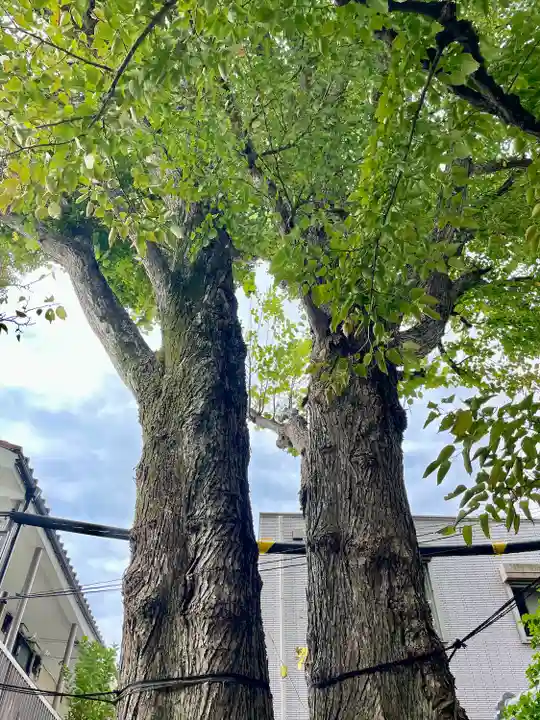 自性院(東京都)