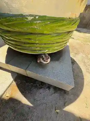 明神社(広島県)