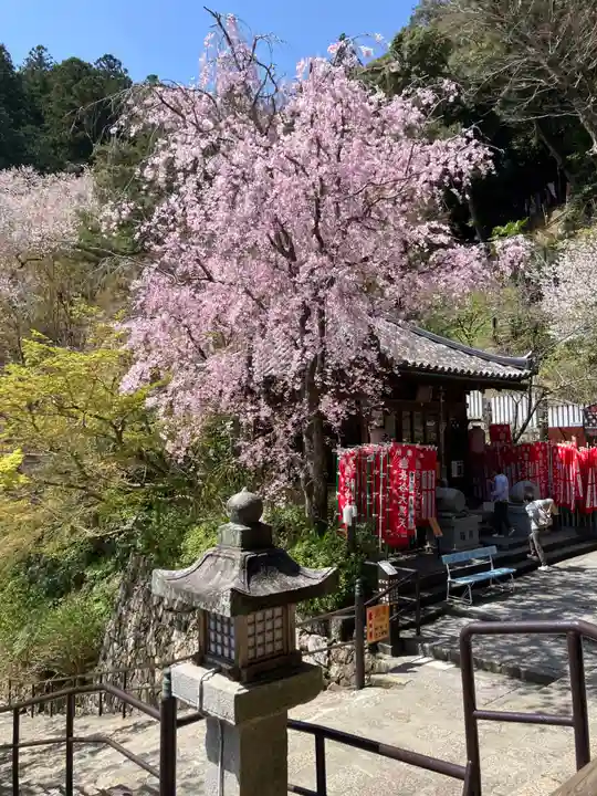 長谷寺(奈良県)
