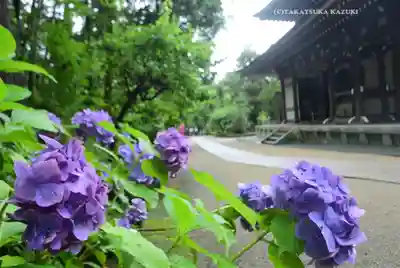 円覚寺(神奈川県)