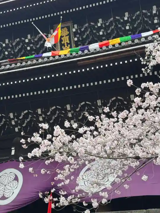 知恩院(京都府)