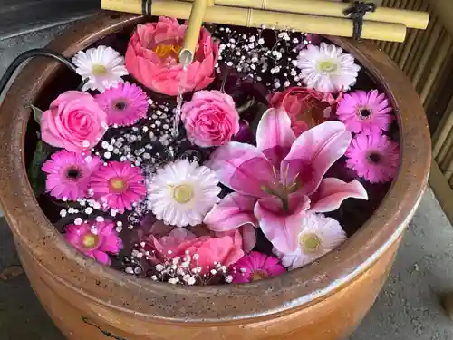 多賀神社の手水舎