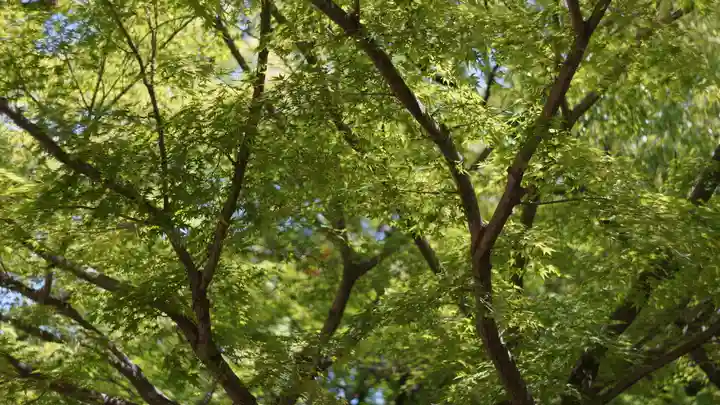 湊川神社(兵庫県)