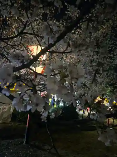 八坂神社(祇園さん)の{uncategorized: "未分類", other: "その他", undefined: "問題あり", building: "その他建物", grave: "お墓", sacred_gate: "鳥居", guardian: "狛犬", statue: "像", buddha: "仏像", history: "歴史", nature: "自然", garden: "庭園", animal: "動物", pagoda: "塔", temizu: "手水舎", mountain_gate: "山門・神門", sanctuary: "本殿・本堂", subordinate: "末社・摂社", art: "芸術", scenery: "景色", jizo: "地蔵", ema: "絵馬", goshuin: "御朱印", omikuji: "おみくじ", items: "授与品その他", amulet: "お守り", goshuincho: "御朱印帳", eats: "食事", festival: "お祭り", votive_dance: "神楽", shichigosan: "七五三参", wedding: "結婚式", experience: "体験その他", initially: "初詣", around: "周辺", anti_infection: "感染症対策"}