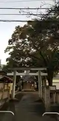 八幡神社の鳥居