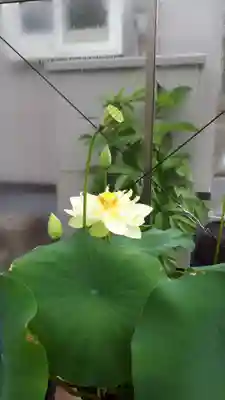 極楽山　浄土寺(北海道)