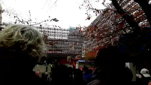 花園神社(東京都)