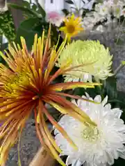 高砂神社の自然