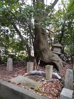 水間寺(大阪府)