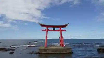 金比羅神社の鳥居
