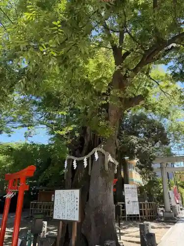 新田神社(東京都)