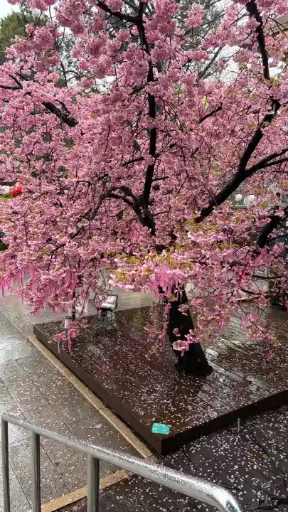桜神宮の{uncategorized: "未分類", other: "その他", undefined: "問題あり", building: "その他建物", grave: "お墓", sacred_gate: "鳥居", guardian: "狛犬", statue: "像", buddha: "仏像", history: "歴史", nature: "自然", garden: "庭園", animal: "動物", pagoda: "塔", temizu: "手水舎", mountain_gate: "山門・神門", sanctuary: "本殿・本堂", subordinate: "末社・摂社", art: "芸術", scenery: "景色", jizo: "地蔵", ema: "絵馬", goshuin: "御朱印", omikuji: "おみくじ", items: "授与品その他", amulet: "お守り", goshuincho: "御朱印帳", eats: "食事", festival: "お祭り", votive_dance: "神楽", shichigosan: "七五三参", wedding: "結婚式", experience: "体験その他", initially: "初詣", around: "周辺", anti_infection: "感染症対策"}