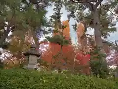 阿部野神社(大阪府)