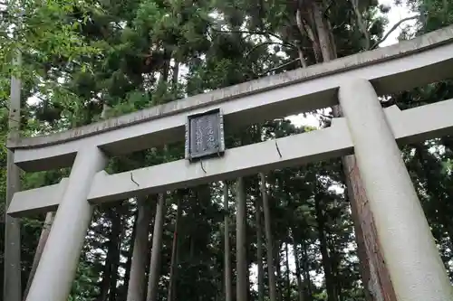 山宮浅間神社の鳥居