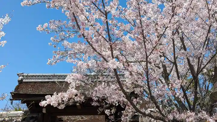 仁和寺(京都府)