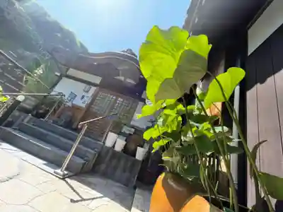 泥牛庵(神奈川県)