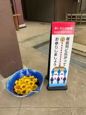 川越八幡宮(埼玉県)