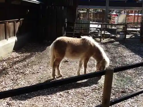 平塚八幡宮(神奈川県)