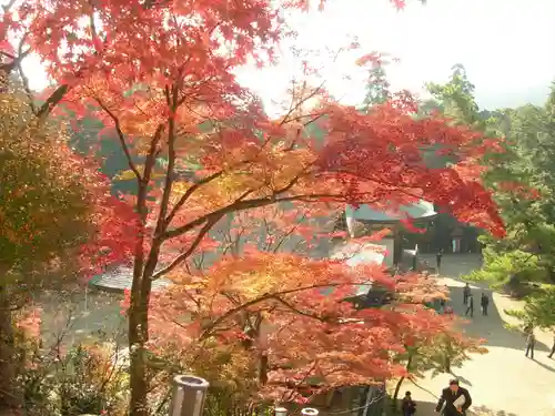 神護寺(京都府)