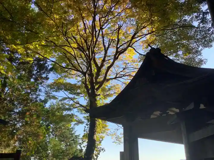 三峯神社のその他建物