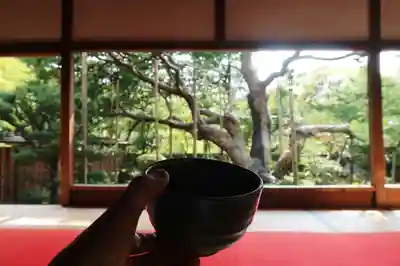 宝泉院(京都府)