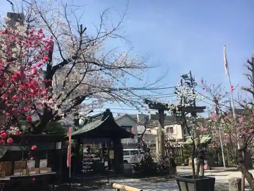 素盞雄神社の鳥居