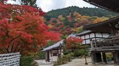 善峯寺(京都府)