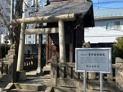 吉祥寺(東京都)