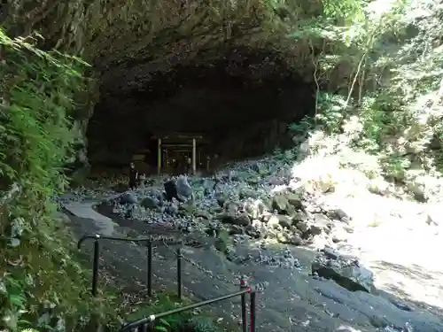 天岩戸神社の自然