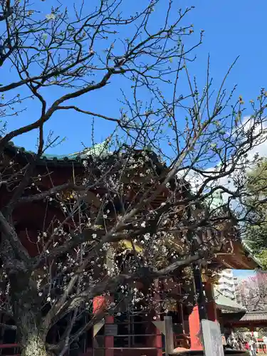 根津神社(東京都)