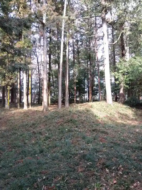 十社神社(埼玉県)