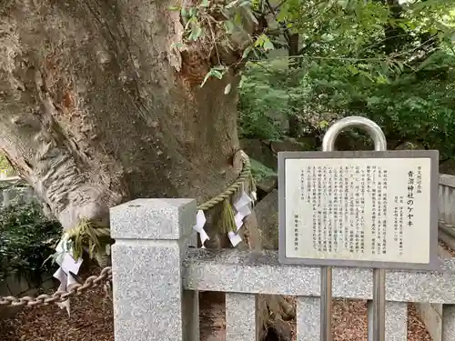 青渭神社(東京都)