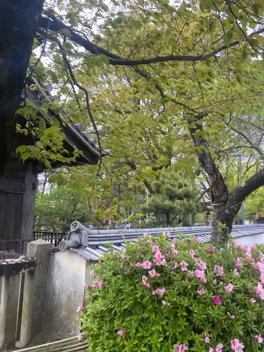 大樹寺(松安院大樹寺)(愛知県)
