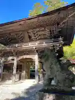 大矢田神社の狛犬