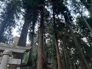 大宮温泉神社(栃木県)(2023年01月09日(月) 08時14分04秒投稿)
