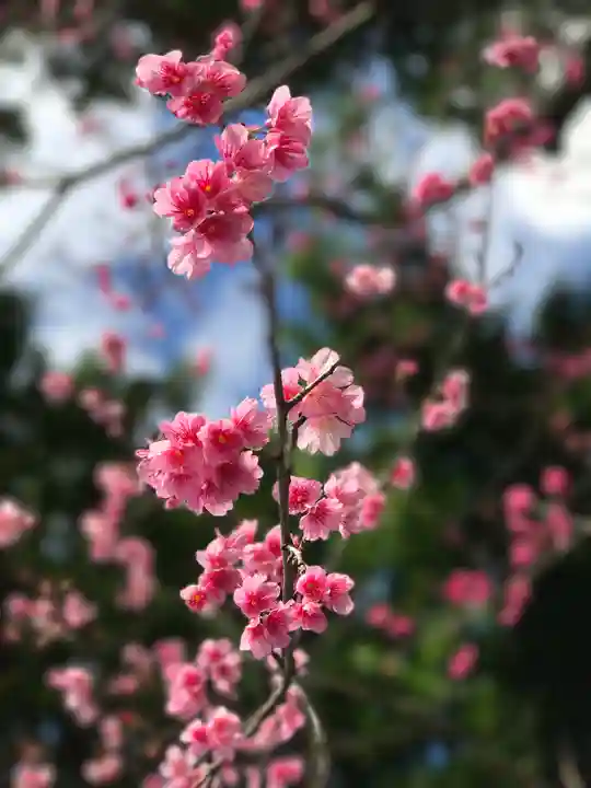 今帰仁里主所火の神(沖縄県)