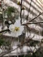 銀世界稲荷神社(東京都)