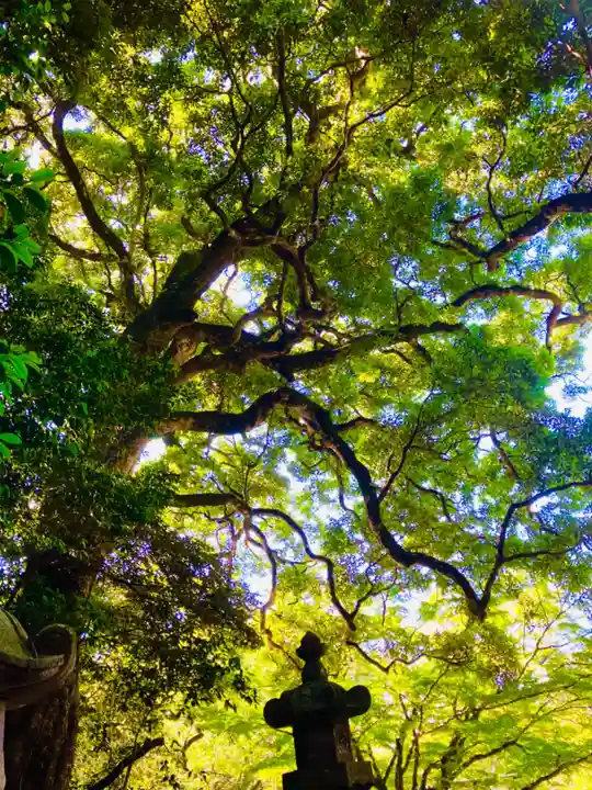香取神宮(千葉県)